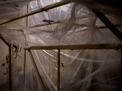 web